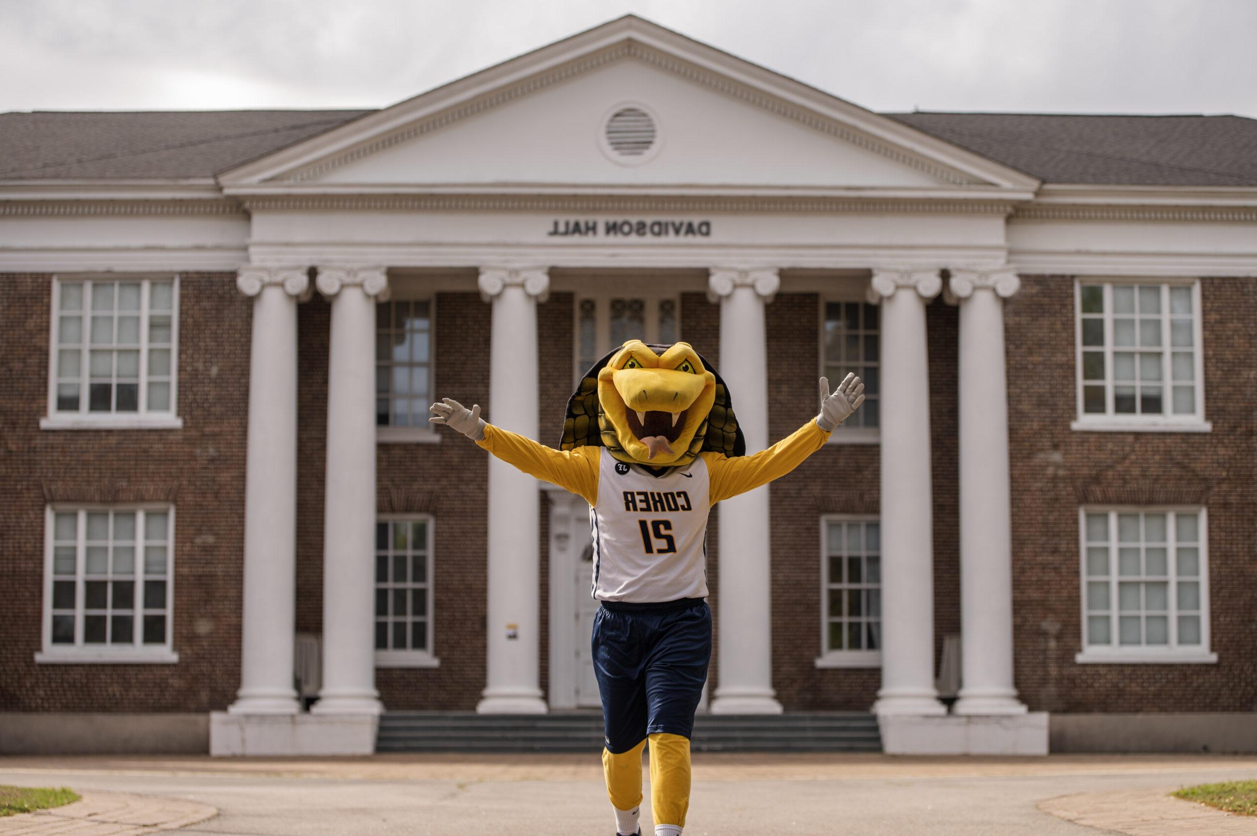 Striker the Cobra holds his arms out in front of Davidson Hall.